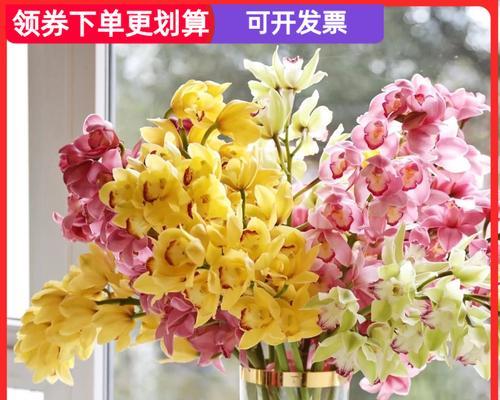 以慧兰花的寓意为主题的文章（探索慧兰花的内涵与象征意义）