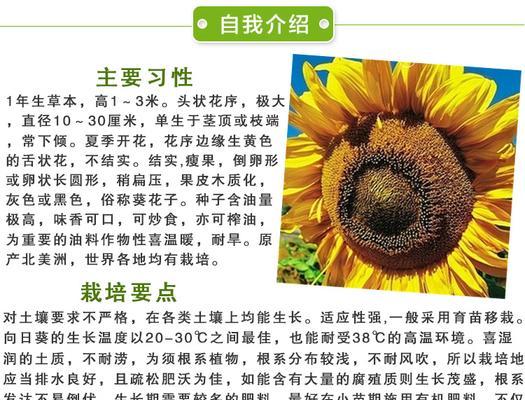 富贵子花的养殖方法和注意事项（打造美丽园林）