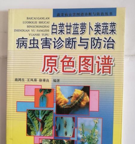 甘蓝病毒病的症状与防治方法（预防甘蓝病毒病的重要性）