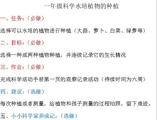 甘蓝种植全攻略（从选种到收获）