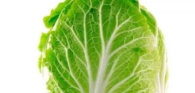 甘蓝黄叶病的药物防治（选择合适的药物防治甘蓝黄叶病效果更佳）