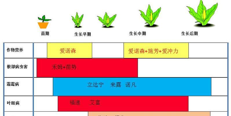甘薯病毒病的防治（症状）