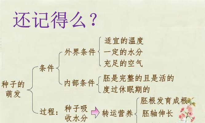 甘蔗的生长习性和生长环境条件（探究甘蔗的生长过程和适宜种植条件）
