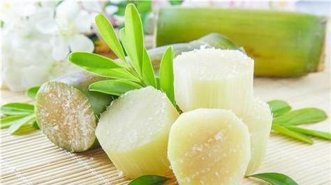 甘蔗是凉性还是热性？上火吗？——探究甘蔗的性质