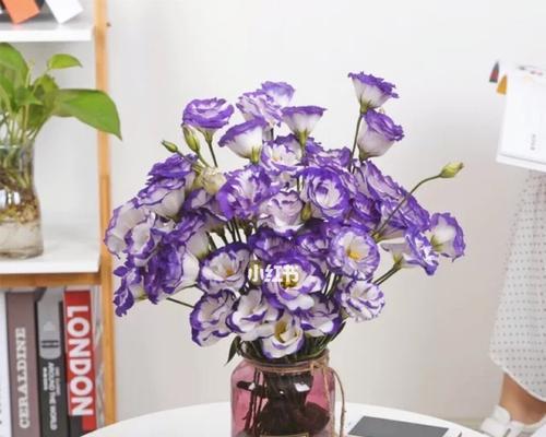 洋桔梗花语与寓意（探究洋桔梗的花语和象征意义）