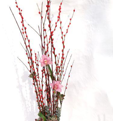 银柳花寓意与意义的探索（探寻银柳花的美丽象征及文化内涵）