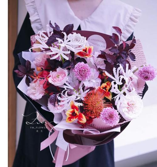 细说以针垫花的花语与养护技巧（了解以针垫花的花语）