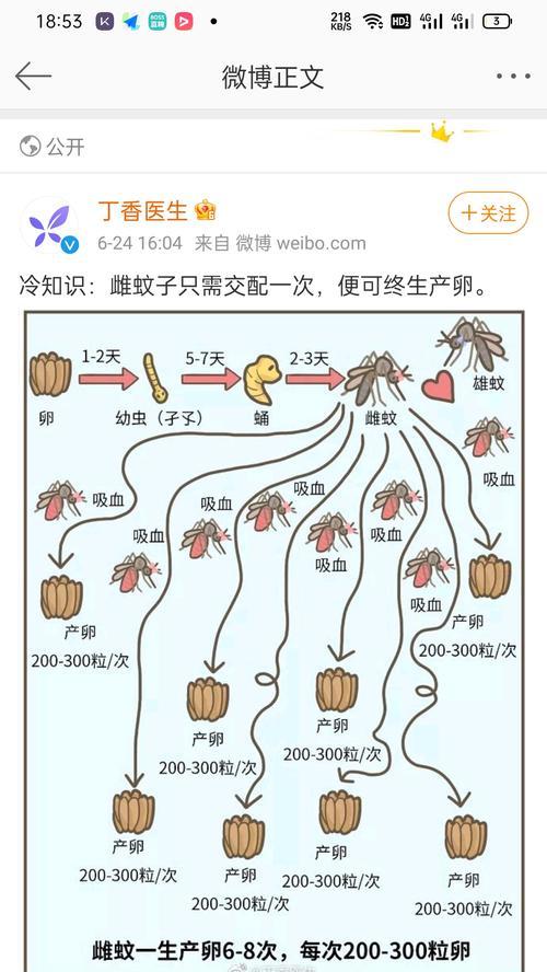 迷迭香叶子干枯的原因及处理方法（让你的迷迭香重新恢复生机）