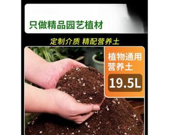 迷岩配土方法与种植土壤（打造优质生长环境的必备技巧）