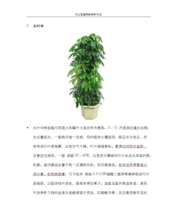 如何正确上盆和养护网纹草（盆土的选择）