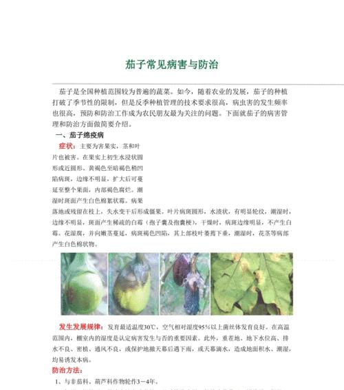 核桃树病虫害综合防治方法（保障核桃产量质量的全面措施）
