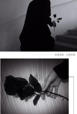 黑色玫瑰花语的神秘与浪漫（探索黑色玫瑰花语的深层含义与象征）