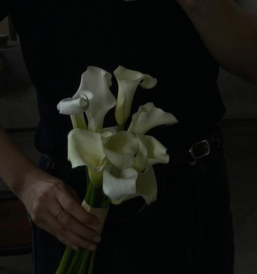 黑色马蹄莲的花语（寓意幽深的黑色马蹄莲）