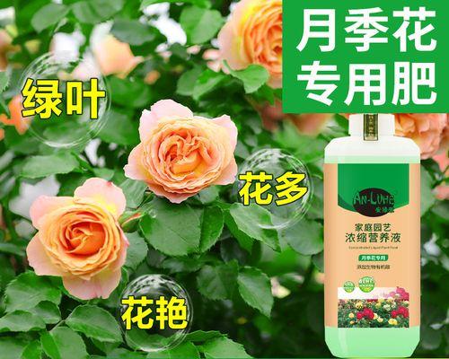 喜酸性花卉盛开的花园（探秘喜酸性花卉的美丽世界）