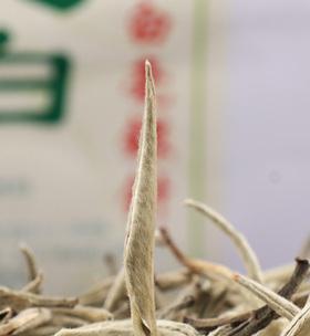 探秘大白毫茶（历史）