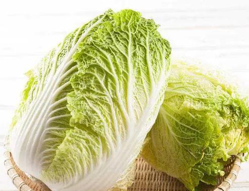 大白菜（解密大白菜的象征意义与文化内涵）