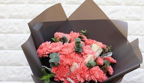 粉色康乃馨花语的深刻意义（探寻粉色康乃馨所代表的情感和象征）