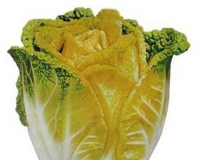 探秘黄芽菜之美（了解黄芽菜的种类）