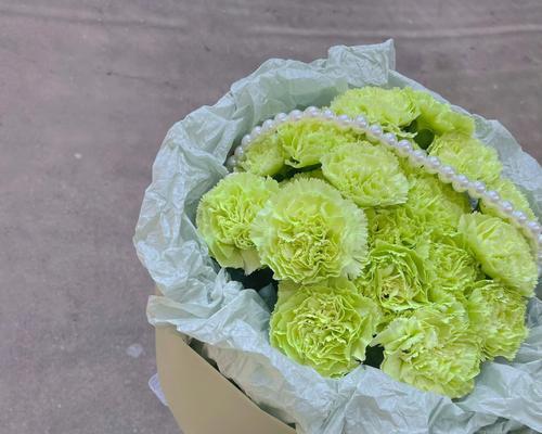 绿色康乃馨的花语与意义（康乃馨的绿色花语解读与传承）