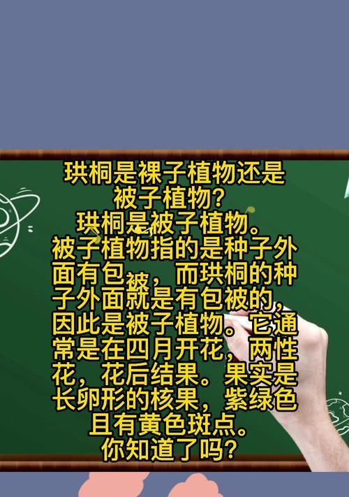 蔷薇并非裸子植物（揭开蔷薇真正的分类秘密）