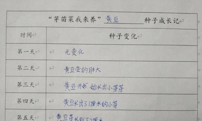 如何种植蔷薇种子（从选择到养护）