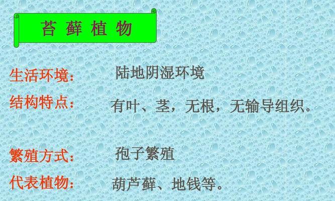 揭秘松柳种子的来源（了解松柳树种子的形成过程及生态意义）