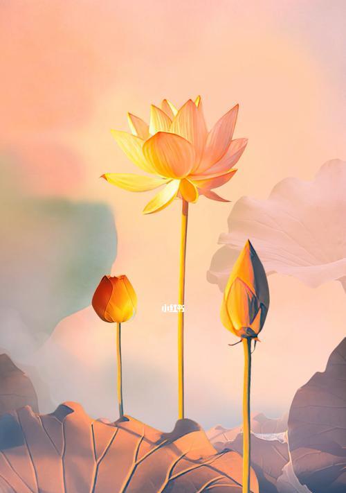 金榜题名，花开艳丽（金榜题名）
