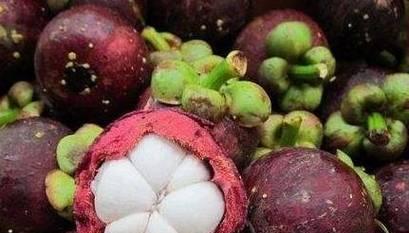 山竹是上火还是降火？山竹有哪些功效与作用？