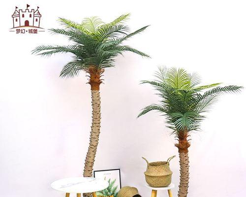 椰树是什么植物？椰树有哪些特点？