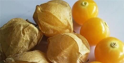 姑娘果什么时候上市？姑娘果成熟收获时间是什么时候？