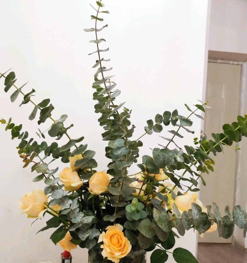 香槟玫瑰怎么水养？香槟玫瑰水培方法有哪些？