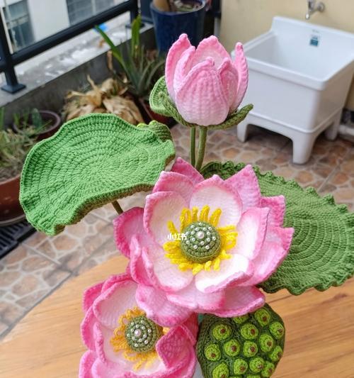 荷花的花木花语是什么？荷花的花木有哪些寓意？