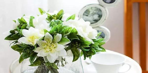 代表忘记一个人的花是什么？忘记一个人的花语是什么？