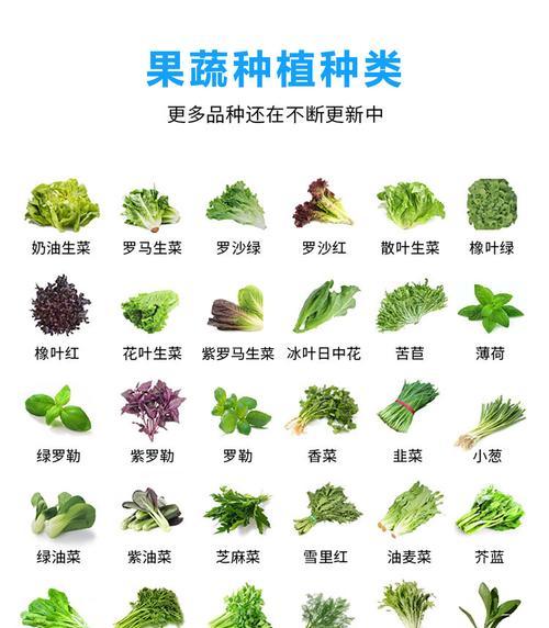 阳台种植小青菜的时间和方法是什么？阳台种小青菜需要注意什么？