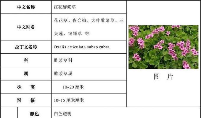 韭菜几天浇一次水？不同季节韭菜浇水频率和方法是什么？