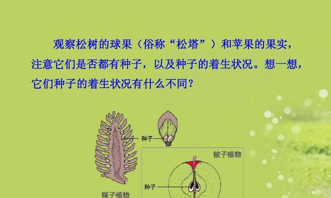 松树扦插生根最快方法是什么？松树扦插生根方法和注意事项是什么？