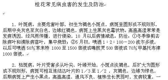 四季桂叶子卷曲原因是什么？四季桂叶子卷曲的处理方法有哪些？