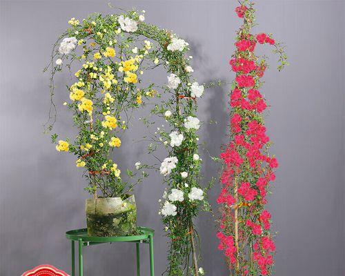 蔷薇什么季节开花？蔷薇的花期和开花时间是什么时候？