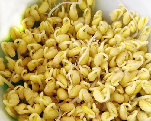 大豆几天发芽出苗？大豆种子发芽需要什么条件？