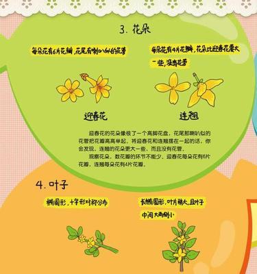 毛笋怎么剥？毛笋剥皮方法和技巧是什么？