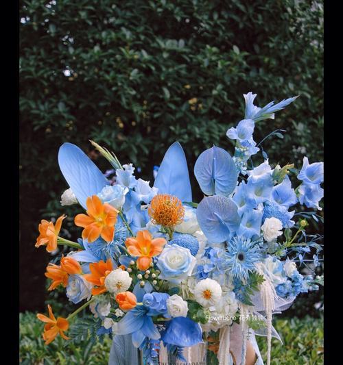 蓝色玫瑰郁金香花束的花语是什么？如何选择搭配颜色？