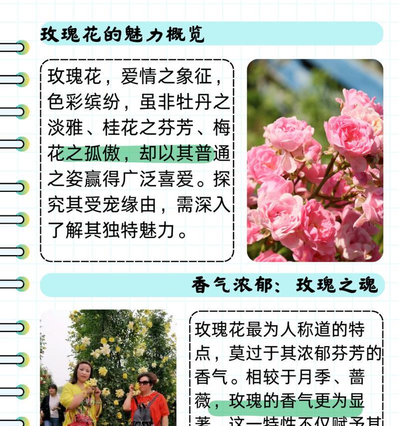 花草树木的特点以及喜欢它的原因？它们的哪些特质吸引了你？