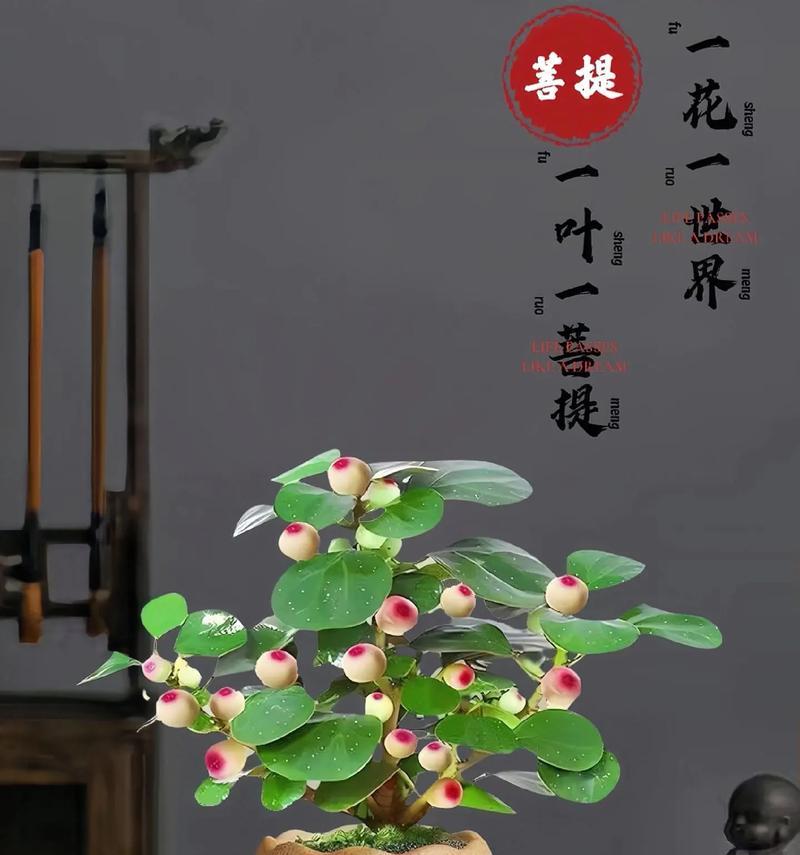 室内不怕涝又好养的树有哪些？选择标准是什么？