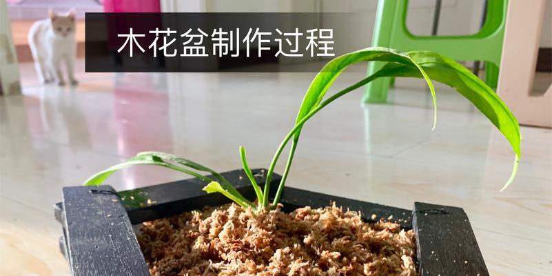 用一次性方盒做花盆的步骤是什么？制作过程中需要注意哪些问题？