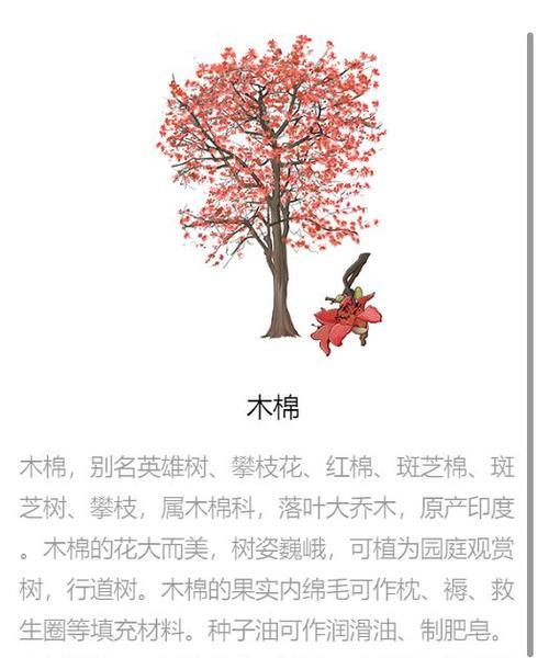 花草树木的寓意是什么？它们在文化中代表了哪些意义？