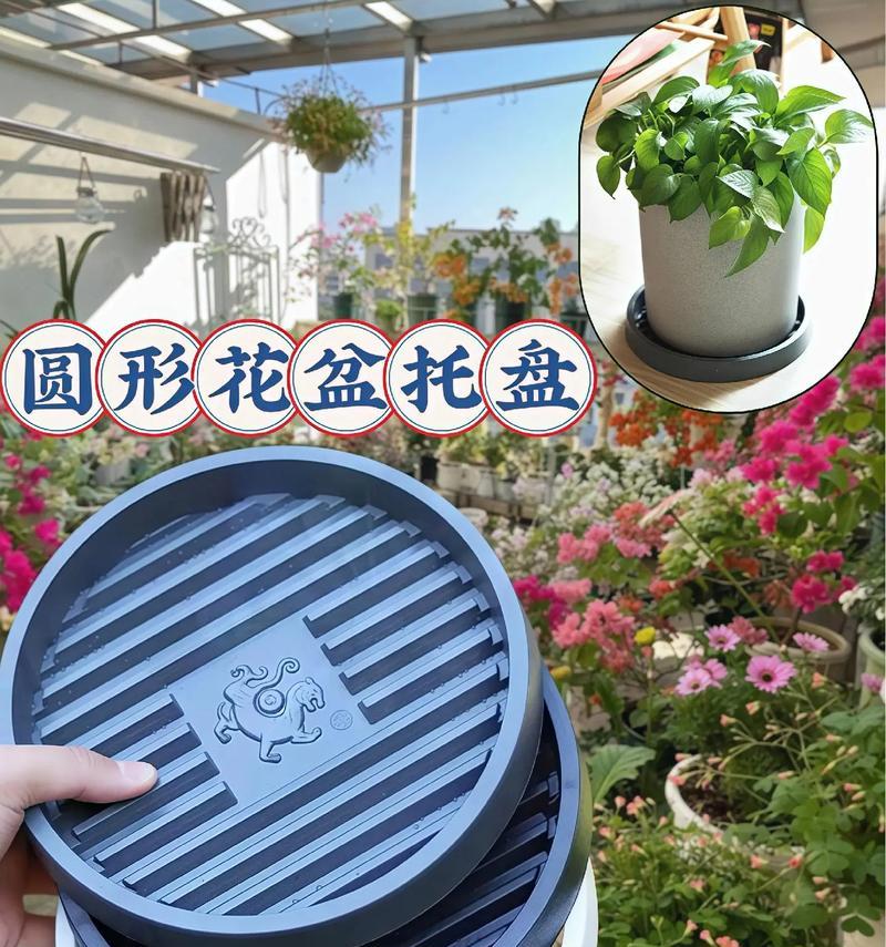 圆盘子造型花盆制作需要哪些材料？