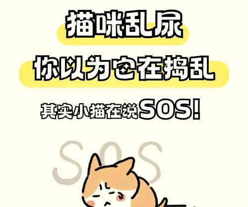 猫为何总在花盆里拉屎？如何防止？
