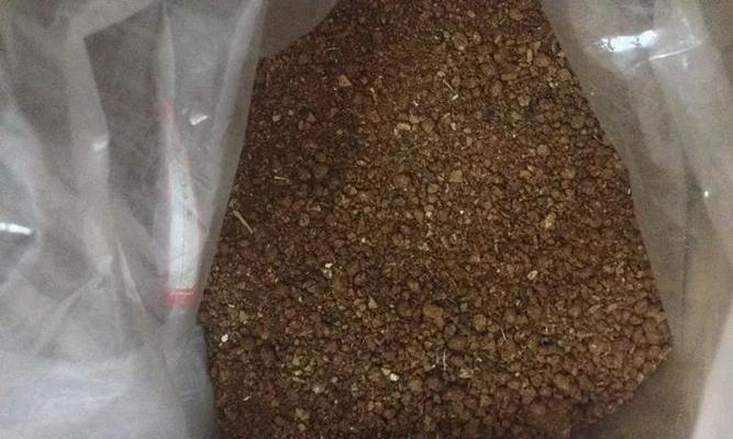 花盆土面白色粉末原因及处理方法是什么？