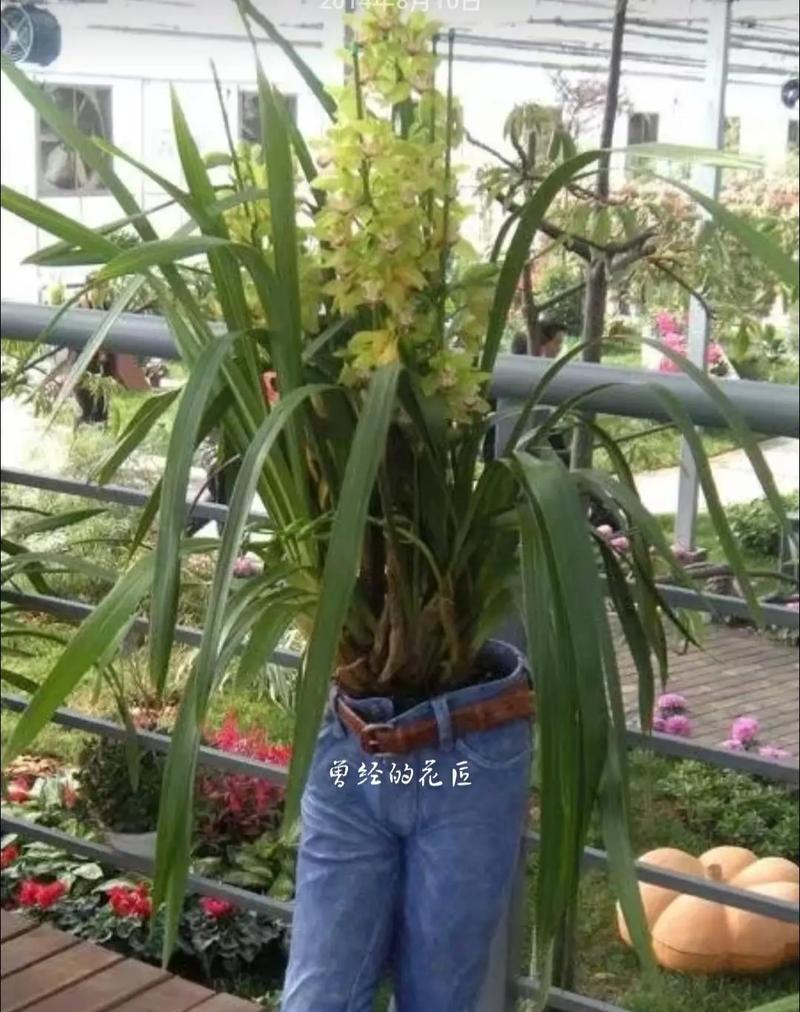 塑料桶如何切割成花盆？教程中有哪些要点？