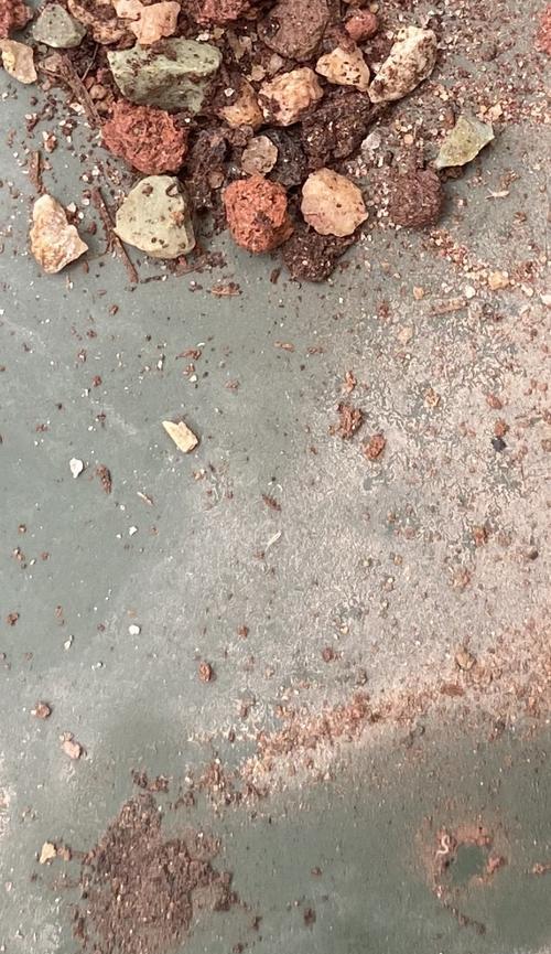 花盆土变粉末状且有虫是否还能使用？是否含有毒性？